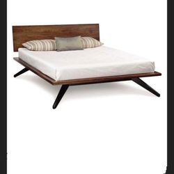 New Bed