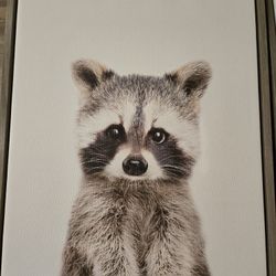 Framed Art- Racoon, part of a set of 2