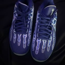 Kobe 5 xray