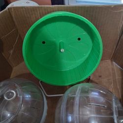 8 Inch Green Hamster Exercise Wheel