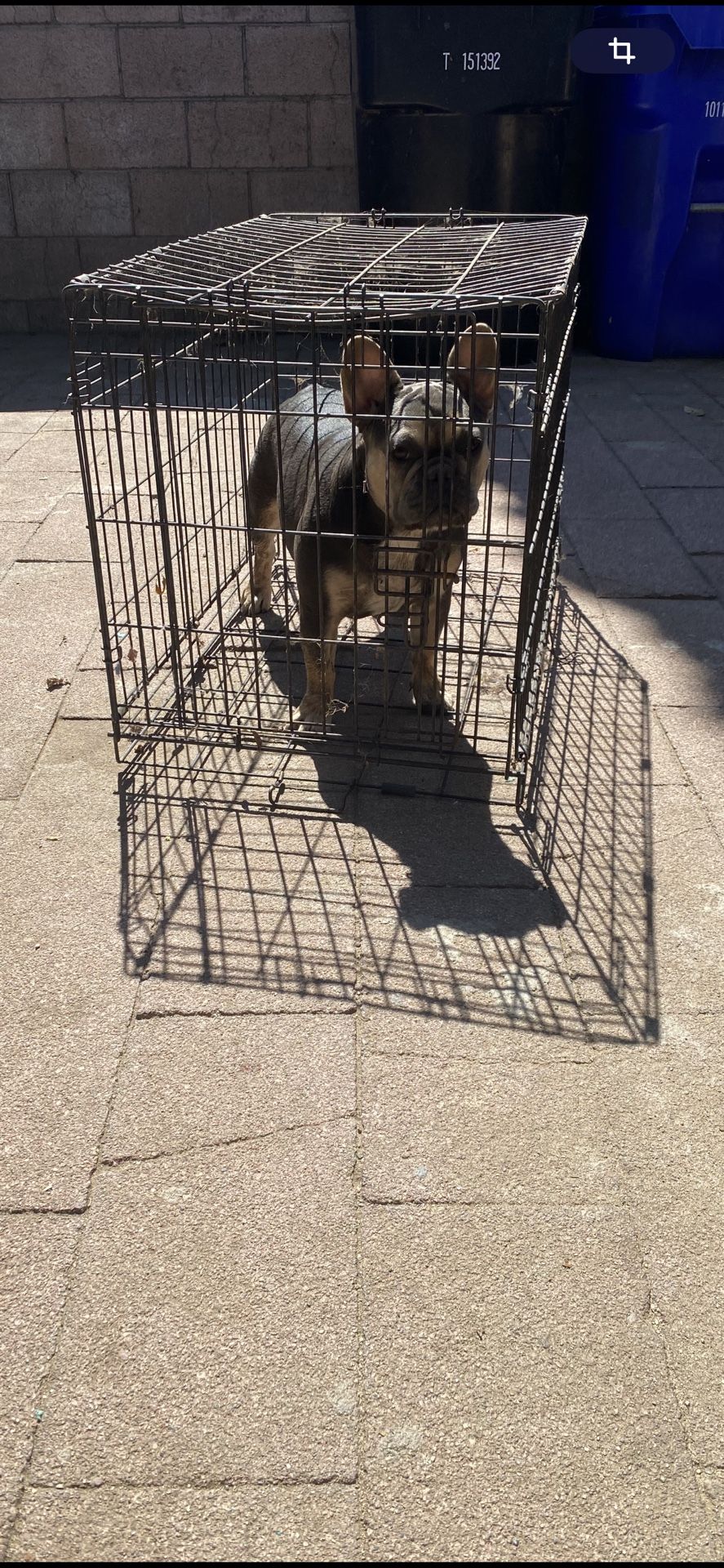 Cage.