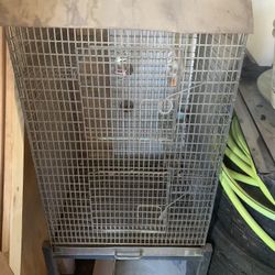 Iron bird  Cage