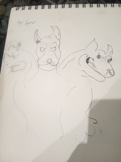 Surprise dog