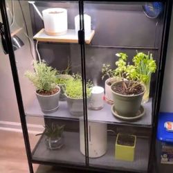 Terrarium - glass Plant Cabinet. In-house Plant Growing Cabinet 