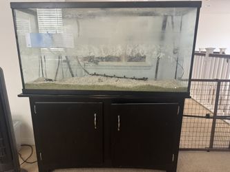 60 Gallon Fish Tank With Filter
