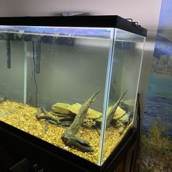 55 Gallon Fish Tank 