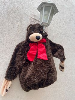 Halloween costume for 18/12 month