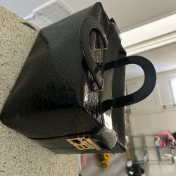 Purse & Makeup Bag