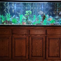 180 Gallon With Stand, Filtration, Uv, Light