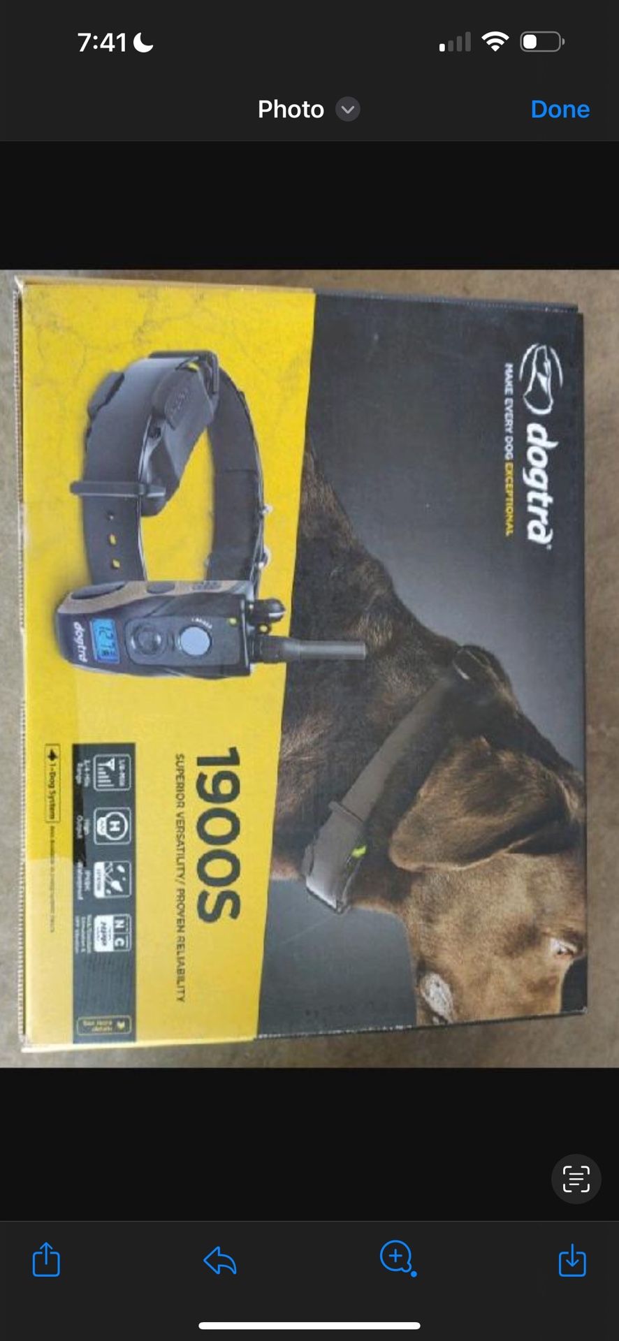 dog shock collar 