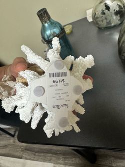 White Coral Reef Decorative Sculpture