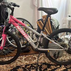 NISHIKI Pueblo 24”