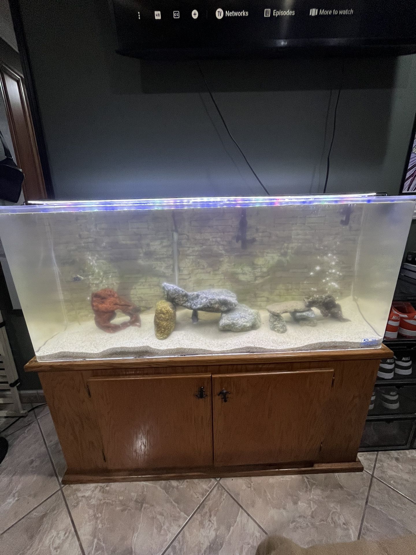 55 Gallon Acrylic Fish Tank 