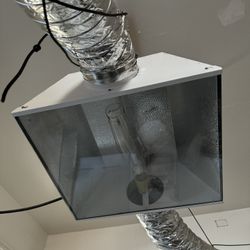 LED Lights For Plants 