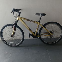 BICYCLE TREK 21 SPEED EXCELLENT CONDITIONS 