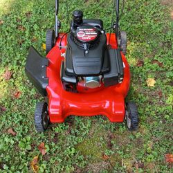 Push Mower 22"