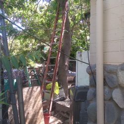 LADDER 