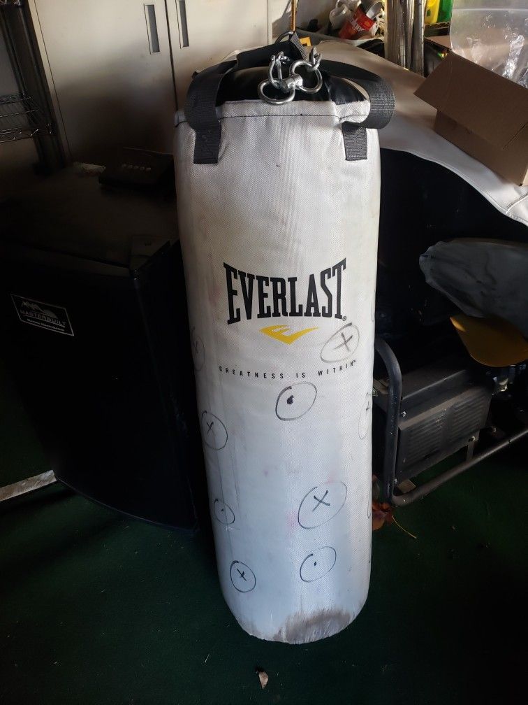 Hanging Punching Bag $20