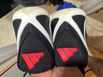 AE 2 Sz 13