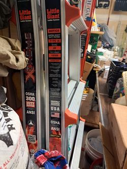 Little Giant Ladder