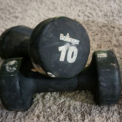 Weights 10 and 20 Lbs Pairs, $50 per two pairs