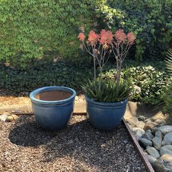 Two Large Ceramic Pots - 25 inches wide x 20 inches tall