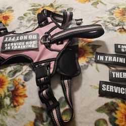 Service Dog Harness