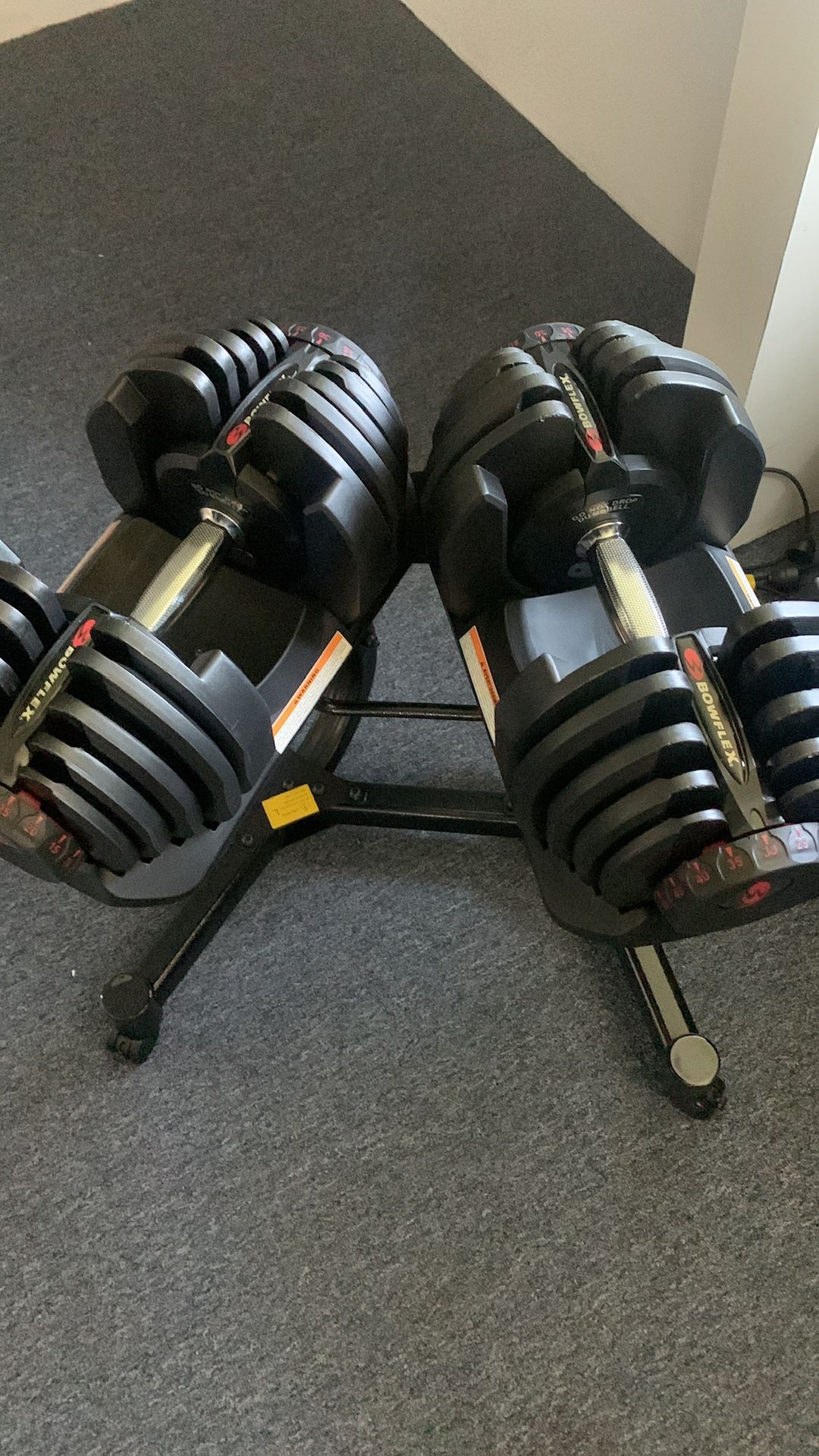 Bowflex 1090 Dumbells 