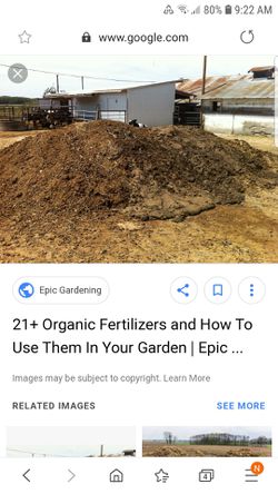 Composted cow manure at the farm