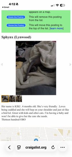 *blanket*