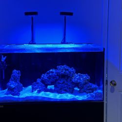 Waterbox Marine 70.3