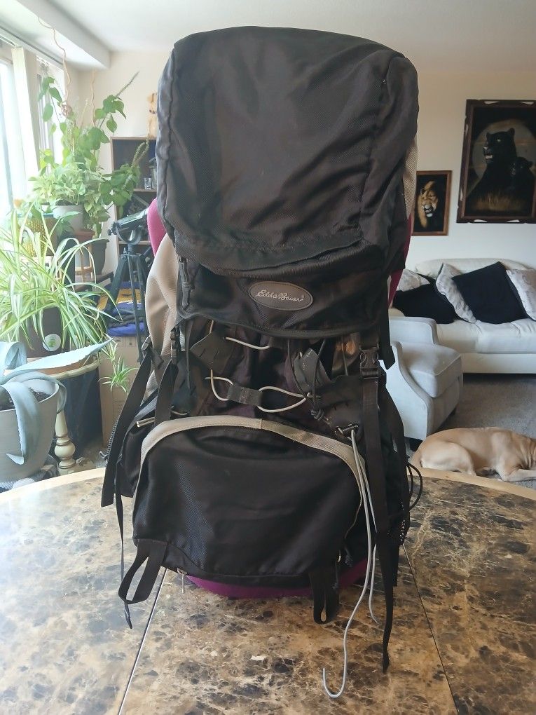 The Eddie Bauer Adventurer Backpack is a versatile and durable option for hiking and camping trips, with a large capacity for all your gear. Made from