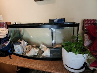100 Gallon Aquarium 