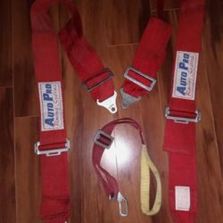 Auto Pro Racing Seat Belts Shoulder Harness Seat Vintage Bolt On
