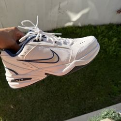 Air Monarch 