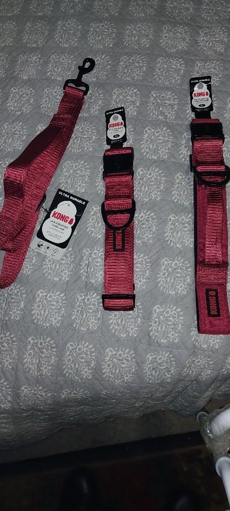 KONG Training Leash And Collars For Large Dogs!