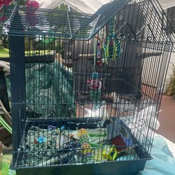 Bird Cage