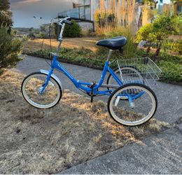Adult 3 wheel bicycle with rear basket