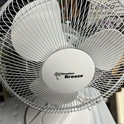 Fan Table (White) Personal/ Bedroom 