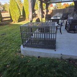 Dog Kennel