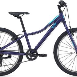 Liv Enchant 24 Bike