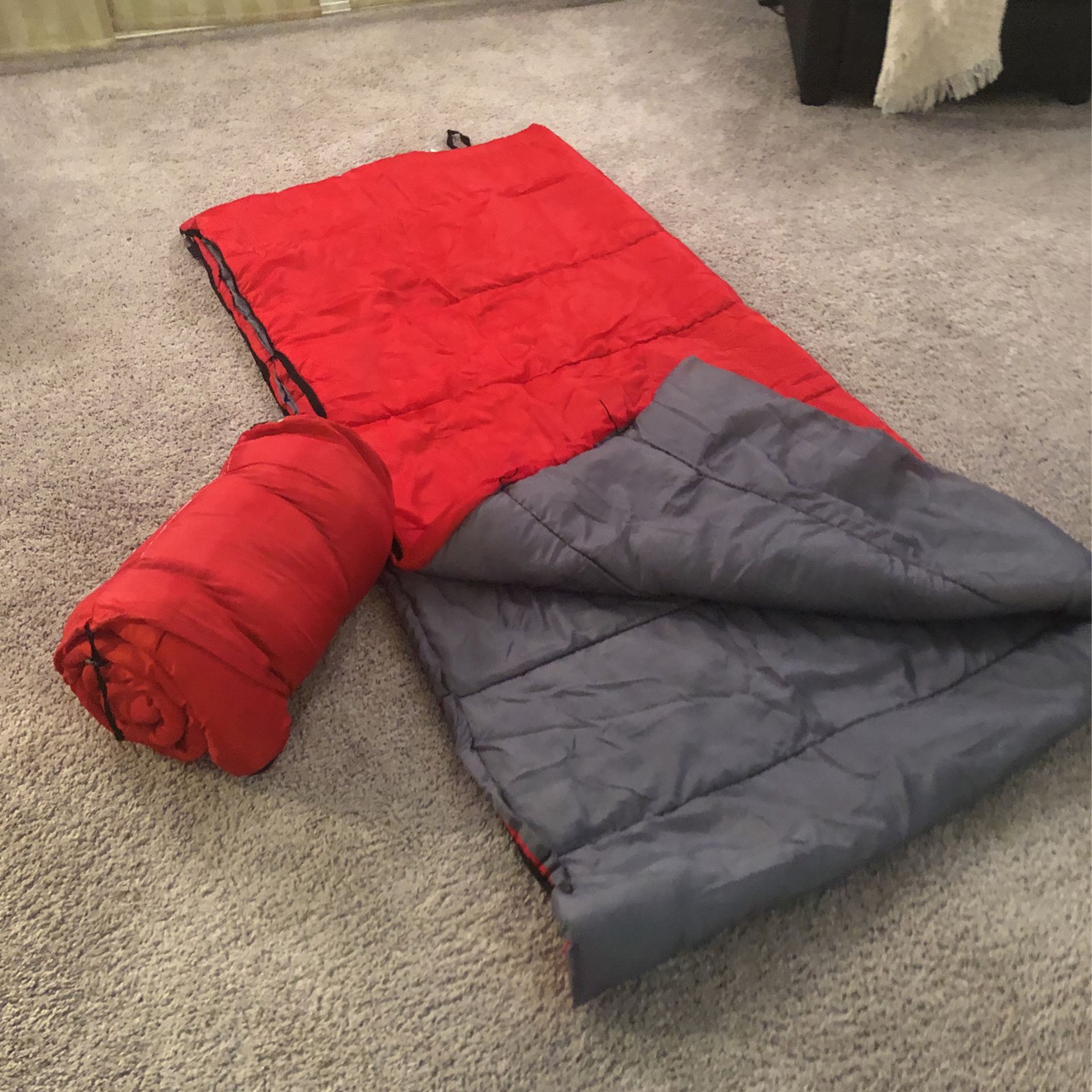 2-Youth Sized Sleeping Bags
