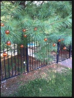 Lighted Pumpkins String Light-2 Sets(6 feet each, 20 Lights, $15 For 2 Sets)