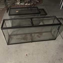 Reptile tank ( 55 gallon tank )