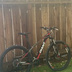 GIANT TALON 29 Inch Wheels! 