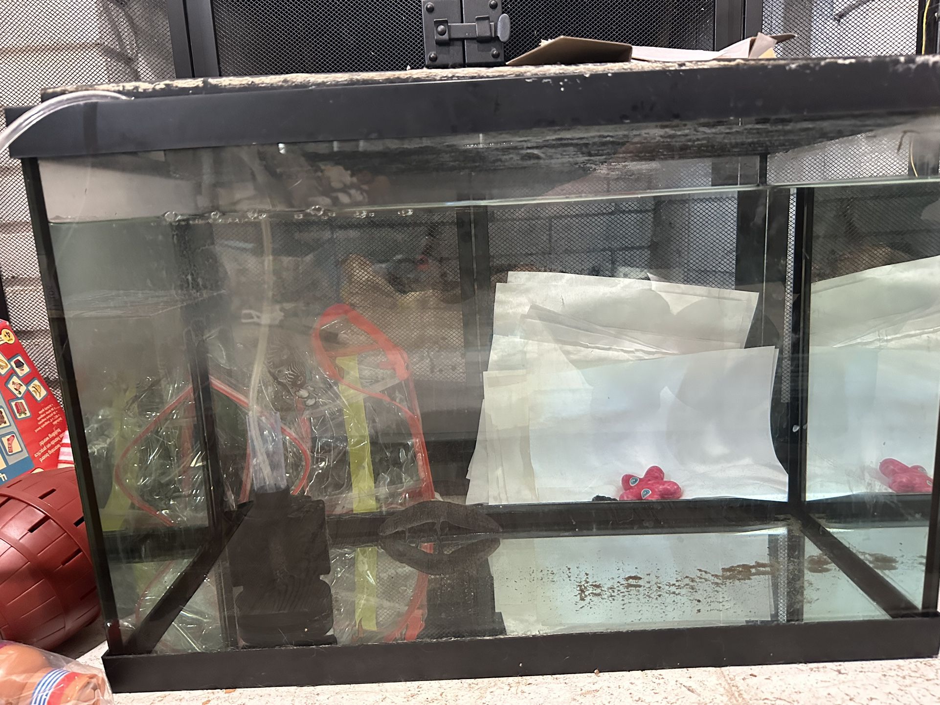 Fish Tank