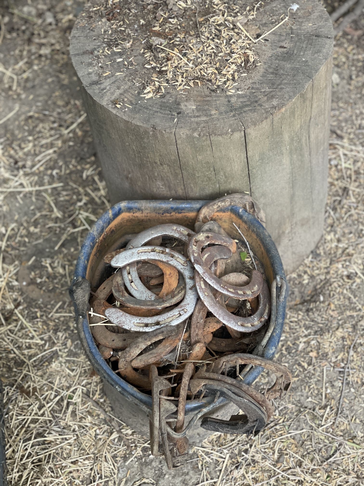 DIY Used Horse Shoes for Sale in Los Angeles, CA OfferUp