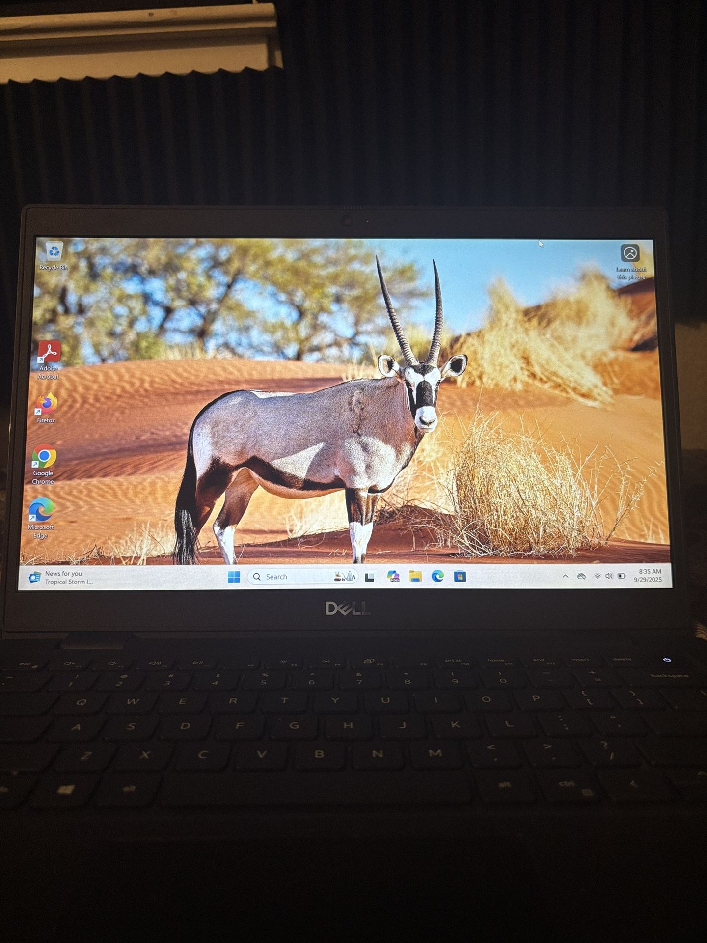 Dell i5-11th Gen Windows 11 Webcam, 8 Gb Ram