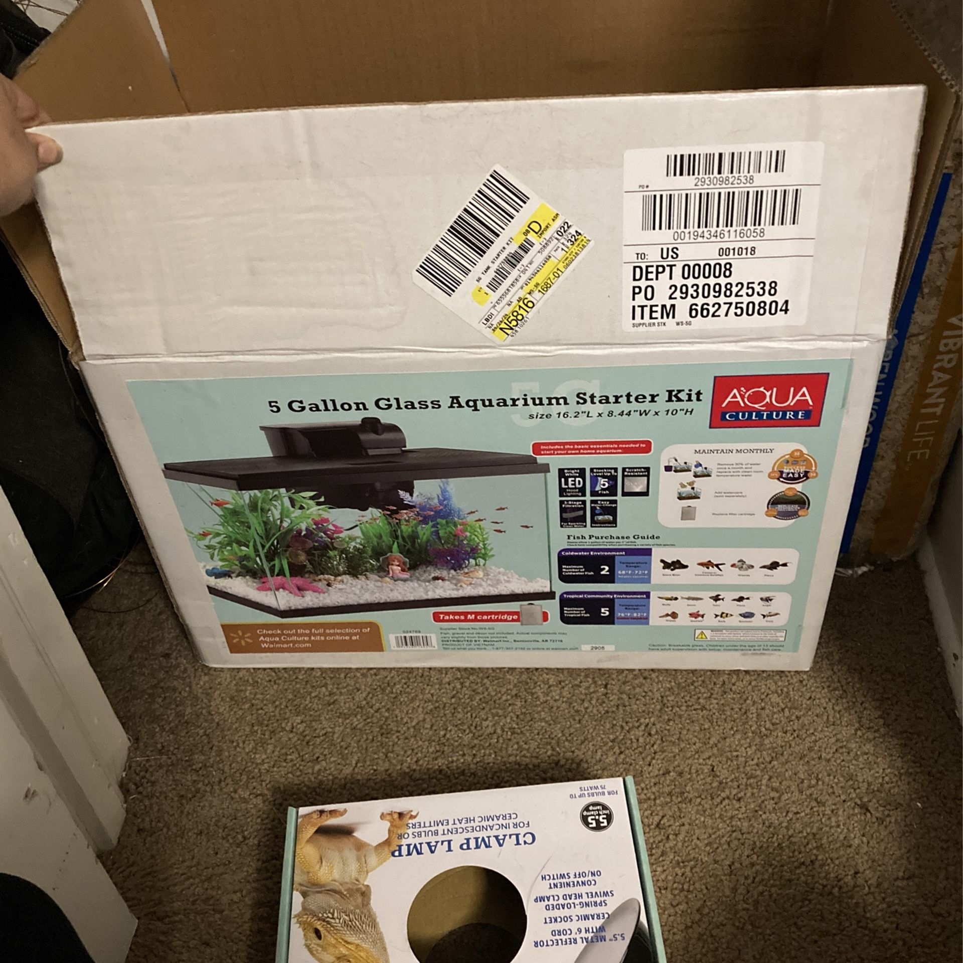 5 Gallon Fish Tank