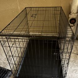 Dog Cage For Sale